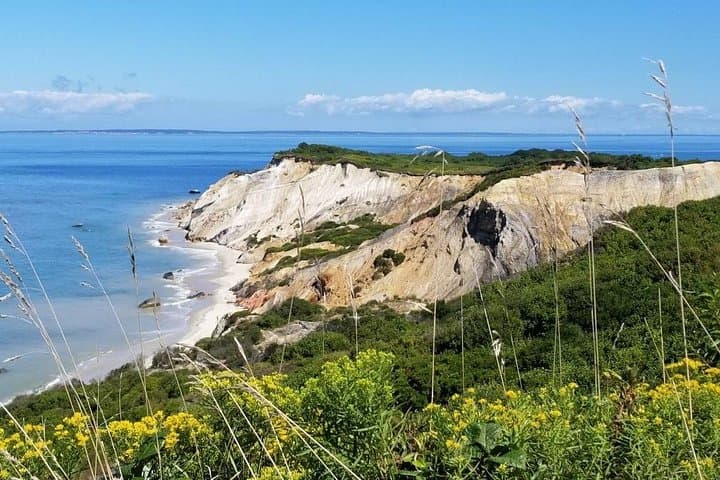 Day Trip to Martha's Vineyard from Boston: Ferry Ride & Optional Island Tour photo 3