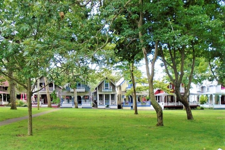 Martha's Vineyard 3-Hour Island Highlights Tour from Oak Bluffs photo 6