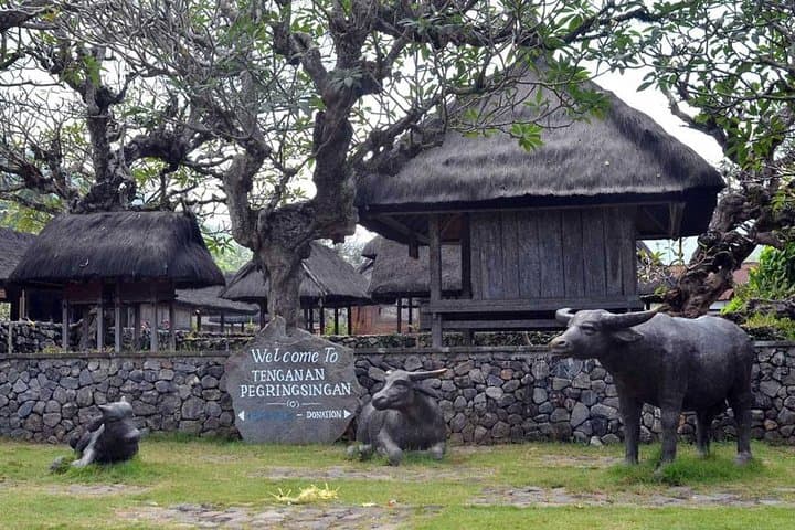 East Bali Blue Lagoon Snorkeling with Tenganan, Taman Ujung & Bat Cave Day Tour photo 2