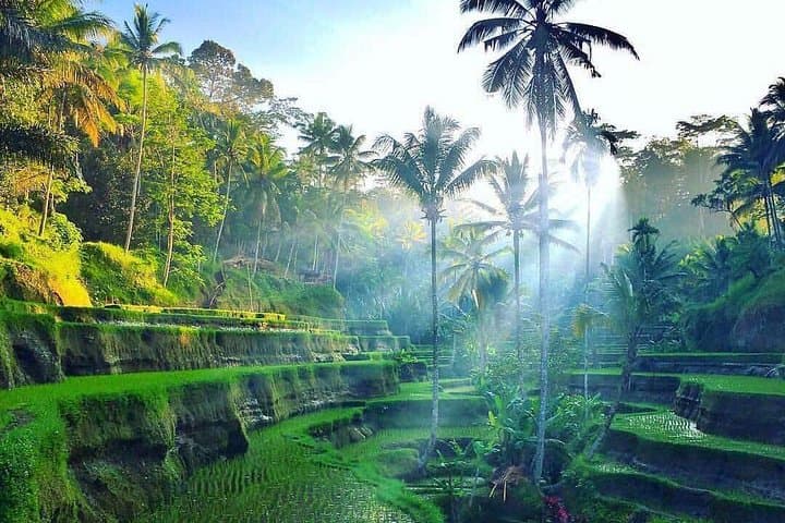 4-Day Private Bali Tour: Ubud, Volcanoes, Rice Terraces & Beaches