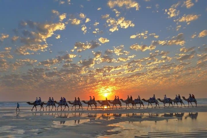 Sunset Camel Ride on Cable Beach — 1 Hour Broome Camel Tour