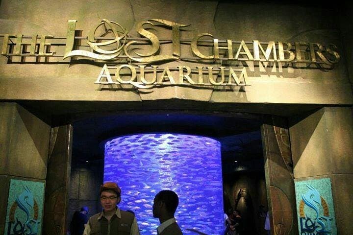 Explore The Lost Chambers Aquarium at Atlantis The Palm: Dubai's Underwater Maze photo 2