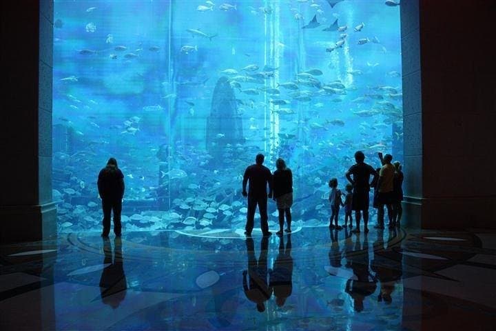 Explore The Lost Chambers Aquarium at Atlantis The Palm: Dubai's Underwater Maze photo 4