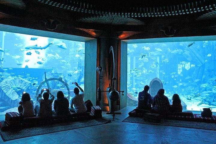 Explore The Lost Chambers Aquarium at Atlantis The Palm: Dubai's Underwater Maze photo 6