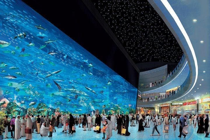 From Ocean Tunnel to Sky Deck: Dubai Aquarium & Burj Khalifa Level 124 Combo photo 4