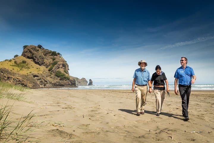 Private Auckland West Coast Day Tour — Muriwai Gannets, Kauri & Kumeu Wineries photo 5