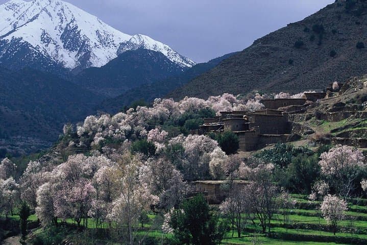 Agafay Desert & Atlas Mountains Day Trip from Marrakech — Camels, Berber Tea & Waterfall Hike photo 2