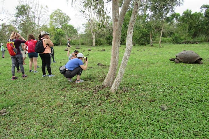 Galapagos Surprising: 4-Day Santa Cruz & Isabela Island Adventure photo 4
