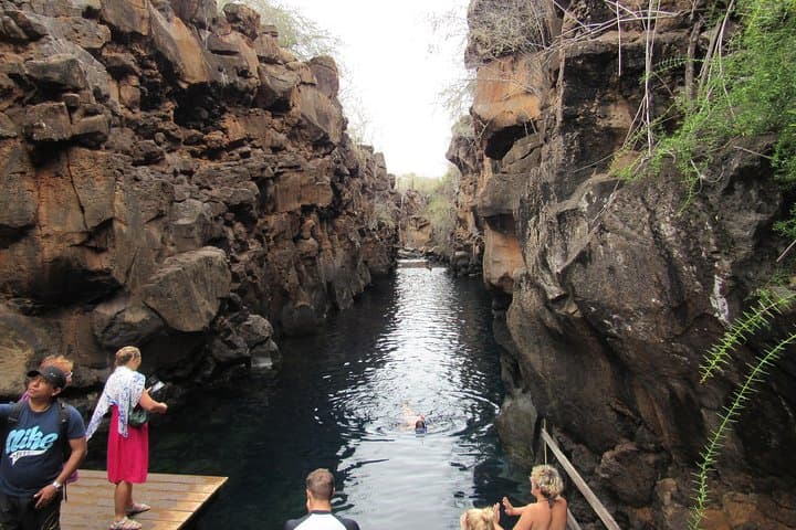 Galapagos Surprising: 4-Day Santa Cruz & Isabela Island Adventure photo 5