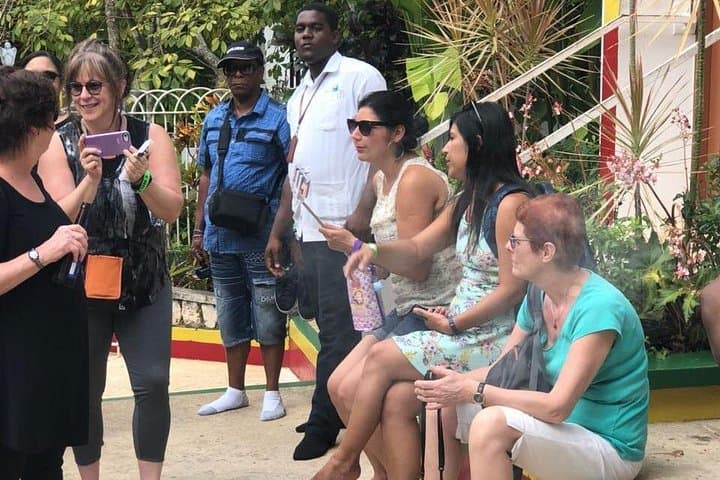 Bob Marley’s Nine Mile & Dunn's River Falls: Private Day Tour from Montego Bay