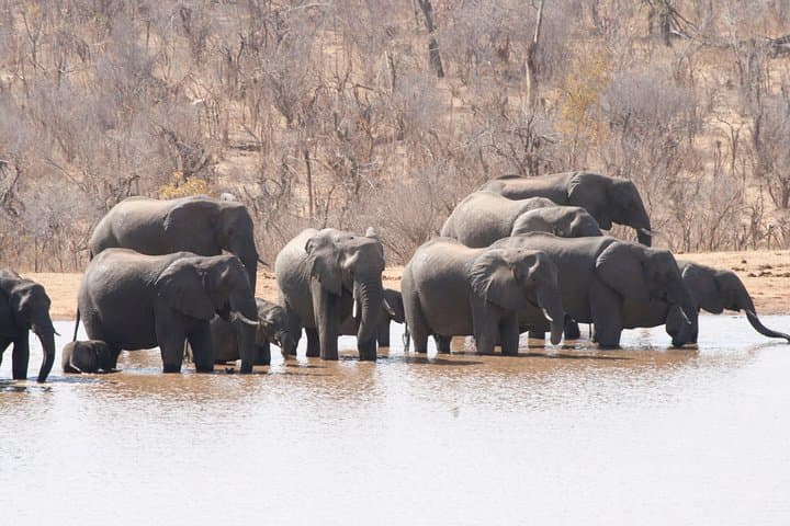 Victoria Falls & Chobe Combo: 5-Day Falls, Village & Safari Experience photo 4