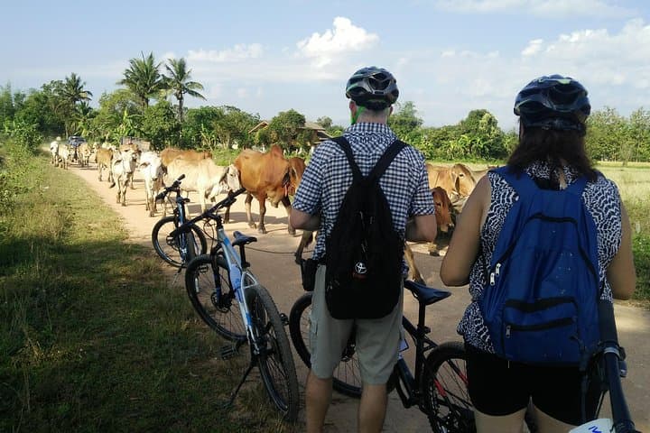 Chiang Rai Half-Day Cycling Tour to Wat Rong Khun (White Temple) photo 6