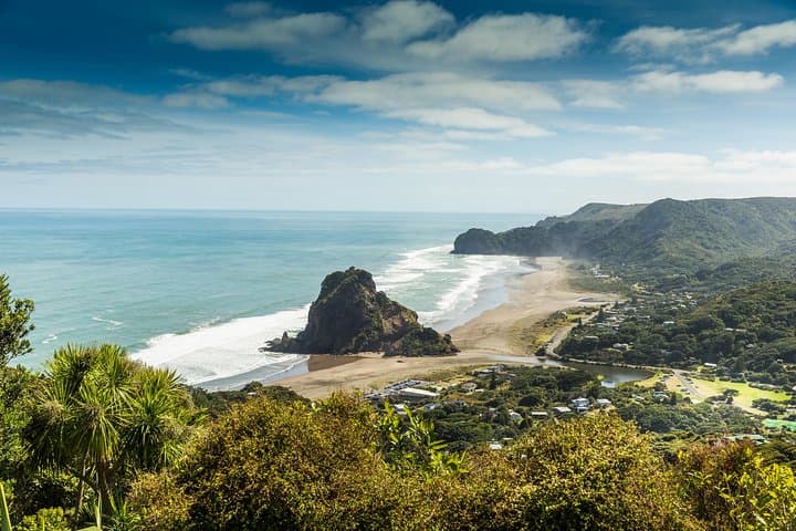Private Auckland West Coast Day Tour — Muriwai Gannets, Kauri & Kumeu Wineries photo 6