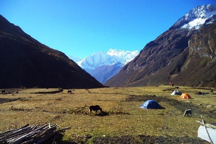 Around Manaslu Trek: Larkya La Circuit Through Nepal’s High Himalaya photo 4