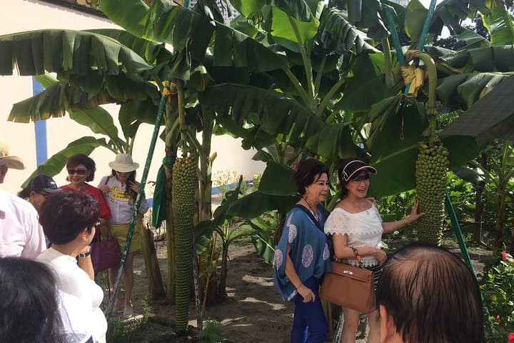 Penang Flexible Half-Day Escapes — Private George Town Highlights Tour photo 5