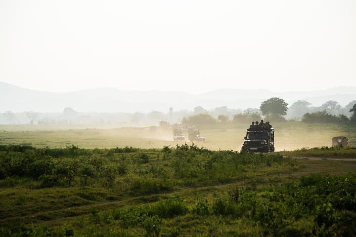 Double-Header Safari: Yala and Bundala One-Day Wildlife Drive photo 2