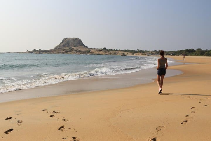 Double-Header Safari: Yala and Bundala One-Day Wildlife Drive photo 6