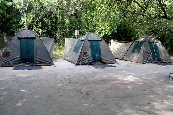 3-Day Central Kalahari Game Reserve Safari from Maun photo 6