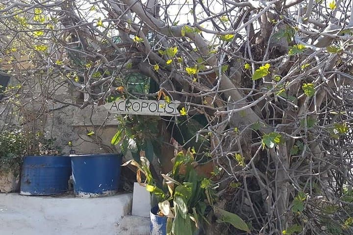 Sunset Walking Tour in Plaka, Athens — Hidden Gems & Local Stories photo 4