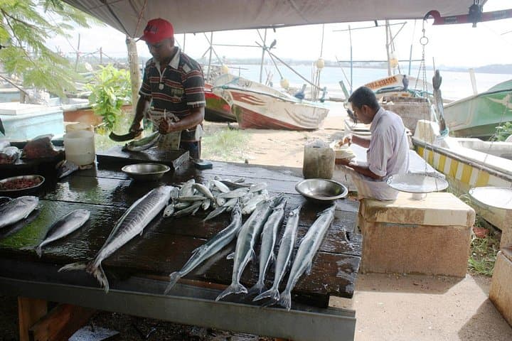 Galle Fort Market Tour & Authentic Sri Lankan Cooking Class in a Dutch Home photo 3