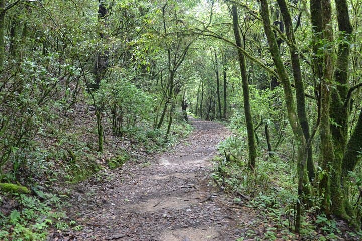 Shivapuri Day Hike: Nagi Gumba to Sundarijal — Kathmandu Valley Views & Waterfalls
