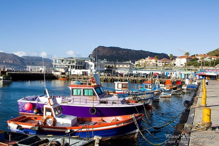 Private Cape Point & Peninsula Full-Day Tour — Avoid Crowds, See Penguins & Coastal Views photo 2