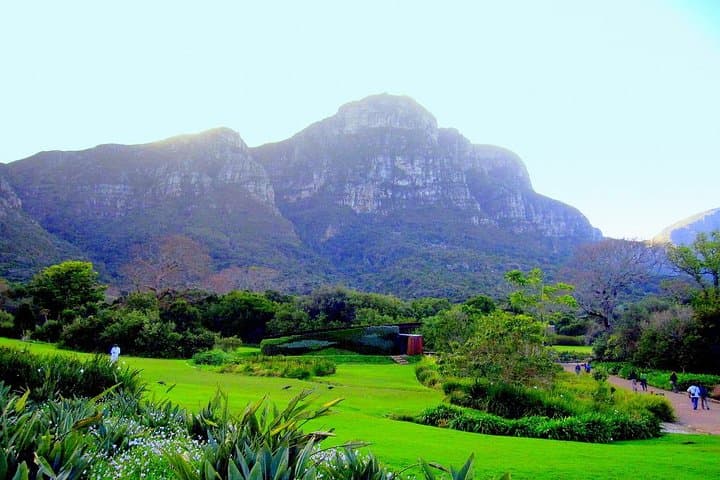 Full-Day Private Cape Peninsula and Kirstenbosch Tour: Chapman's Peak, Boulders Beach & Cape Point photo 5