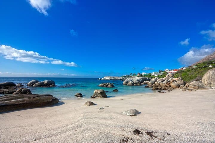 Full-Day Private Cape Peninsula and Kirstenbosch Tour: Chapman's Peak, Boulders Beach & Cape Point photo 4