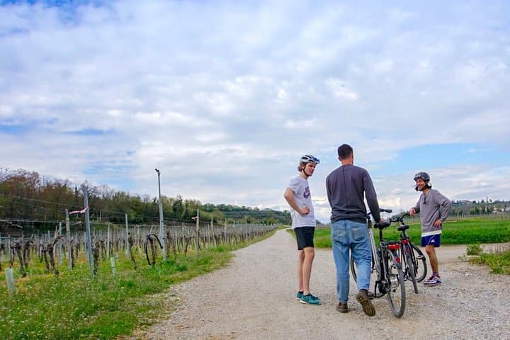 Pedaling Between Castles: e-Bike Tour from Villafranca to Borghetto sul Mincio photo 3