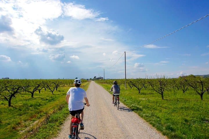 Pedaling Between Castles: e-Bike Tour from Villafranca to Borghetto sul Mincio photo 4