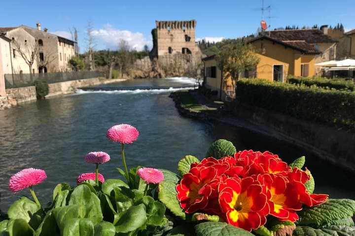 Pedaling Between Castles: e-Bike Tour from Villafranca to Borghetto sul Mincio photo 2
