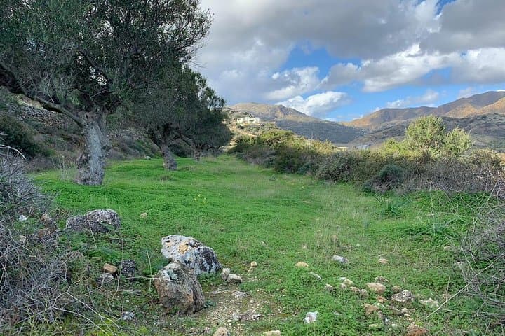 Valley Walk in Pigadia: Guided 7km Olive-Grove Hike on Karpathos photo 2