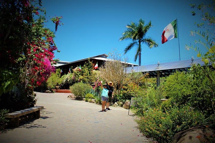 Vallarta Botanical Garden & Tequila Tasting: Day Trip from Puerto Vallarta photo 3