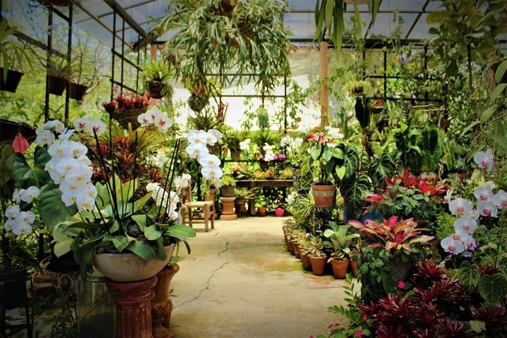 Vallarta Botanical Garden & Tequila Tasting: Day Trip from Puerto Vallarta