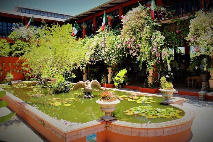 Vallarta Botanical Garden & Tequila Tasting: Day Trip from Puerto Vallarta photo 6