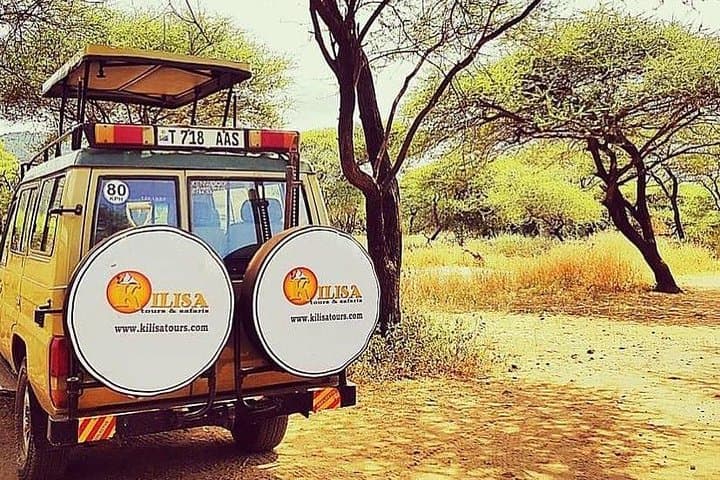 Budget 5-Day Tanzania Safari: Tarangire, Serengeti, Ngorongoro & Lake Manyara
