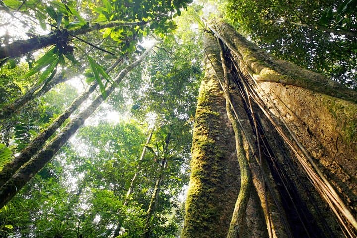 Maui Waterfall Hike, Rainforest & Chocolate Tour at The Legendary Kings Gardens photo 2