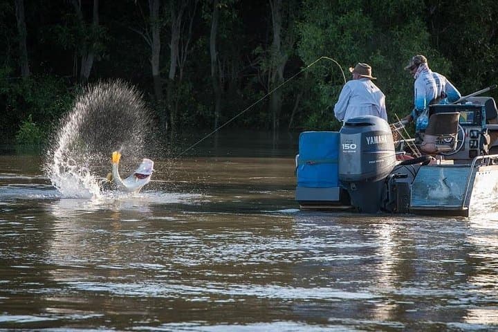 Darwin Barramundi Fishing Day Trip — Freshwater & Saltwater Options photo 2