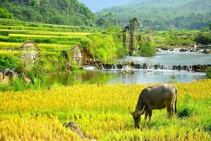 Mai Chau Day Trip from Hanoi: Cycling Stilt-House Villages & Thung Khe Pass