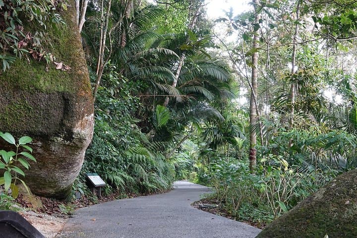 Penang Hill Habitat Nature Walk & Lunch — Canopy Trails and Colonial Views photo 3