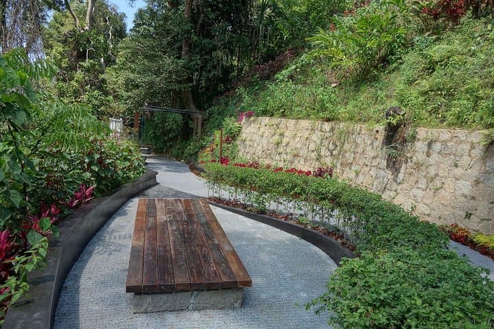 Penang Hill Habitat Nature Walk & Lunch — Canopy Trails and Colonial Views photo 4