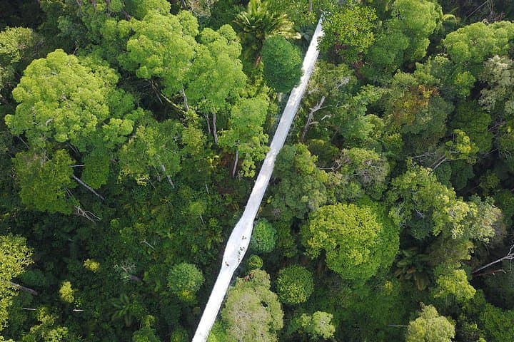 Penang Hill Habitat Nature Walk & Lunch — Canopy Trails and Colonial Views photo 6
