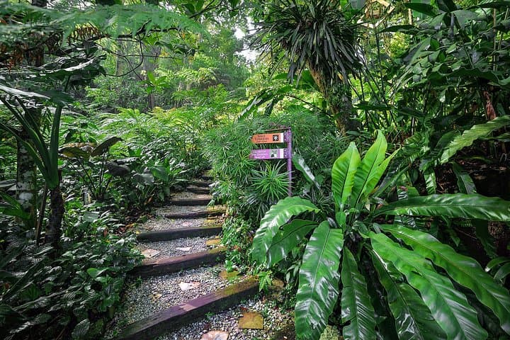 Penang Tropical Spice Garden & Entopia Butterfly Reserve: A Half-Day Nature Immersion photo 2