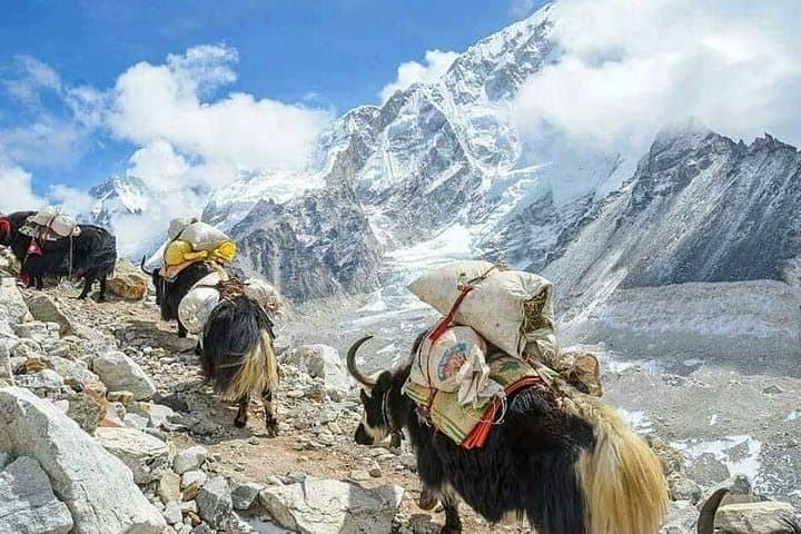 Everest Base Camp via Gokyo Lakes and Cho La Pass: 18-Day High-Altitude Trek photo 3