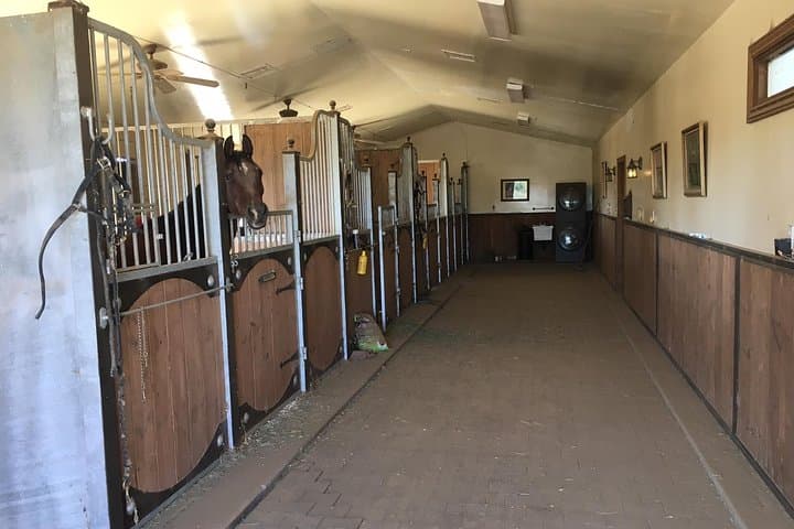 Scottsdale Horseback Ride & Horse Country Estate Tour — Desert Equestrian Experience photo 2