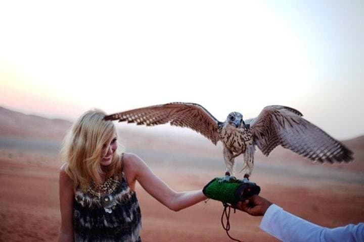 Abu Dhabi Desert Safari: Dune Bashing, Camel Ride & BBQ Under the Stars photo 3