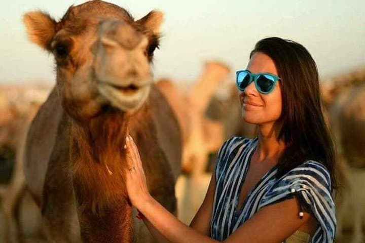 Abu Dhabi Desert Safari: Dune Bashing, Camel Ride & BBQ Under the Stars photo 6