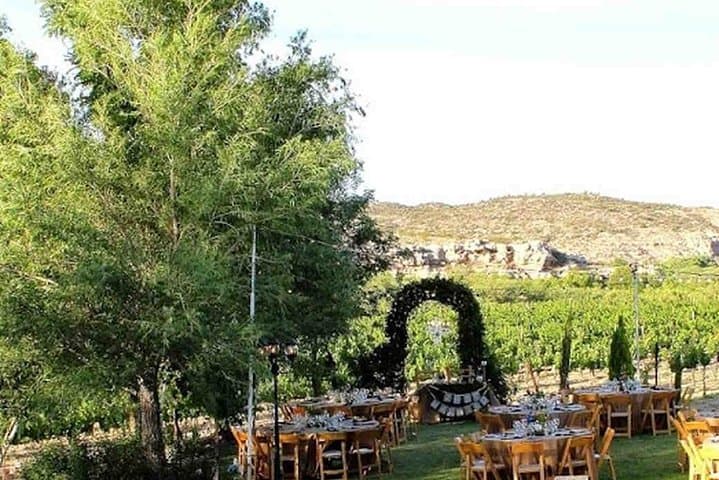 Verde Valley Vineyard Wine Tasting Tour from Scottsdale photo 2