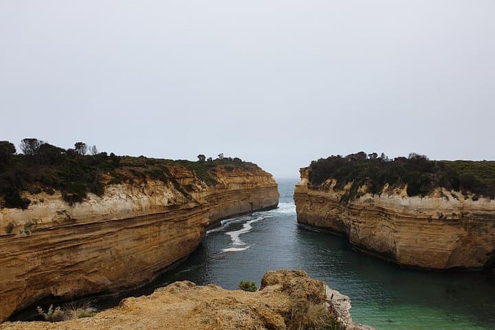 Great Ocean Road 12 Apostles Tour: Kangaroos, Koalas & Chocolate from Melbourne photo 4
