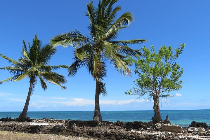 Explore the Comoros Islands: 6-Day Cultural and Marine Adventure photo 6